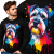 LONGSLEEVE ZWIERZĘTA  SCHNAUZER BLACK